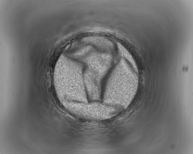 X0000089971493200707271911