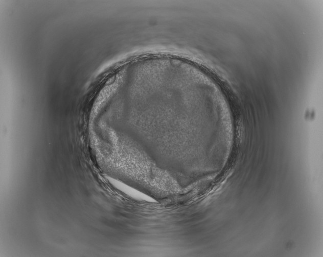 X0000089971494200707271911