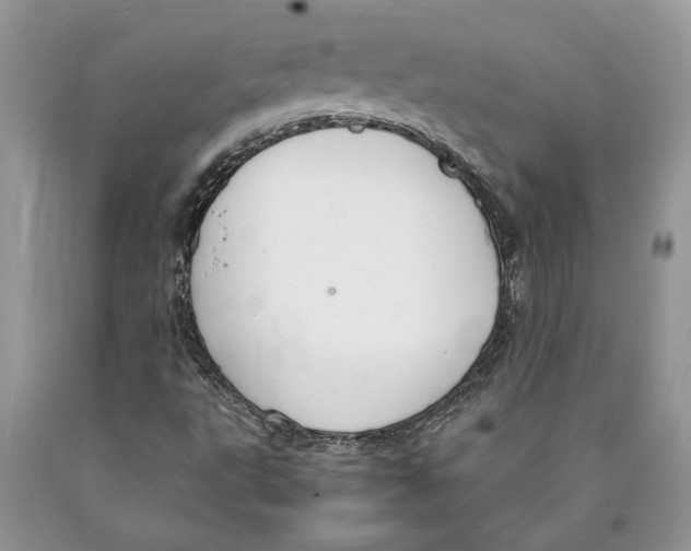 X0000089971495200707271911