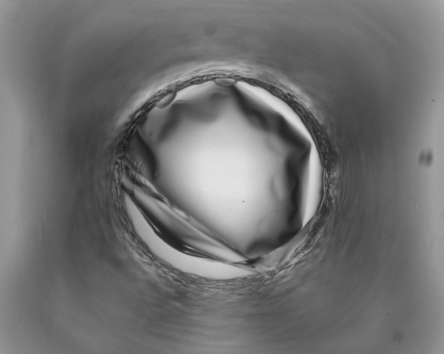 X0000089971496200707271911