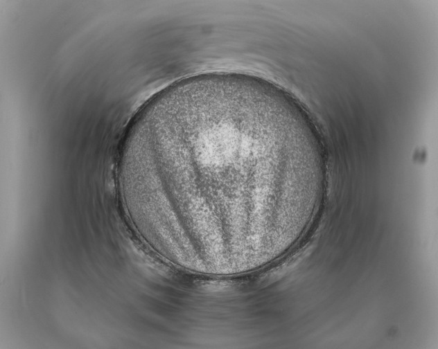 X0000089971497200707271911