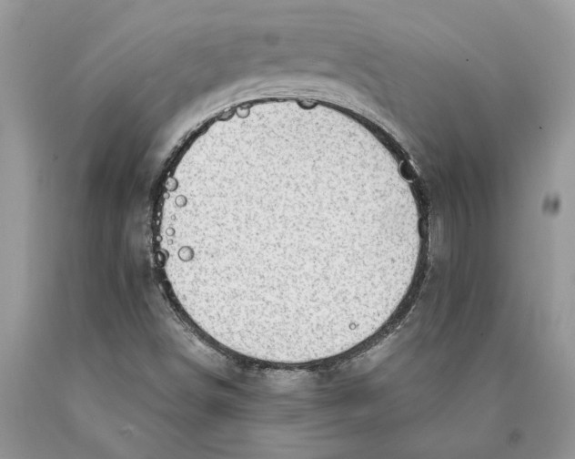 X0000089971498200707271911