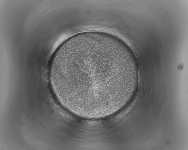 X0000089971501200707271911