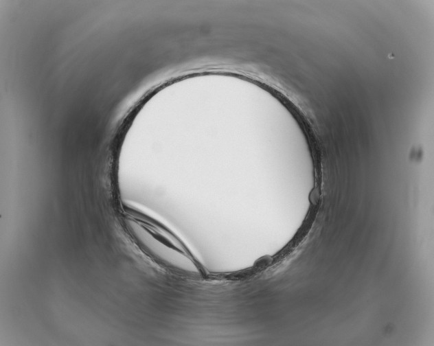 X0000089971502200707271911