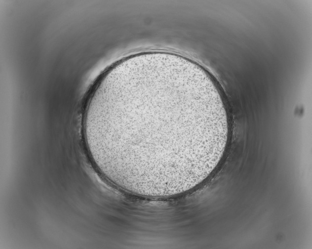 X0000089971503200707271911