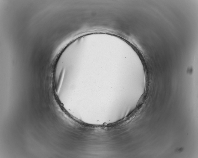 X0000089971504200707271911