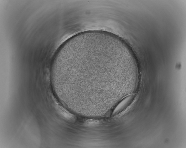 X0000089971505200707271911