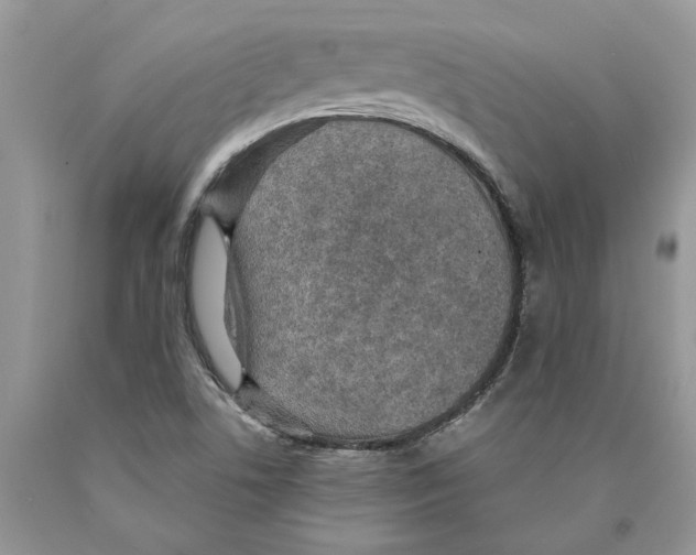 X0000089971506200707271911