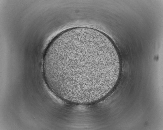 X0000089971507200707271911