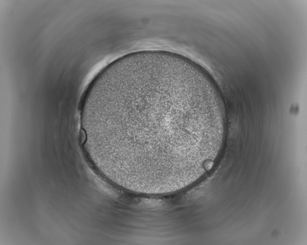 X0000089971509200707271911