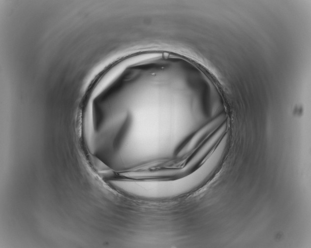 X0000089971510200707271911