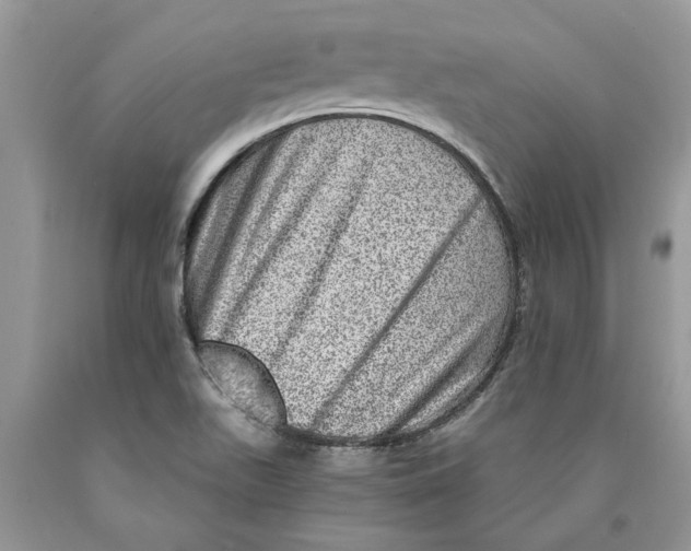 X0000089971511200707271911