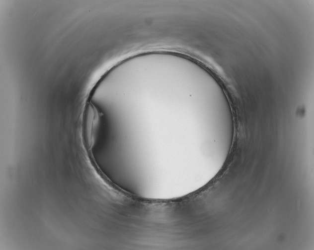 X0000089971512200707271911