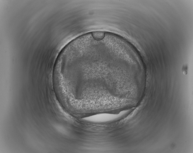 X0000089971513200707271911