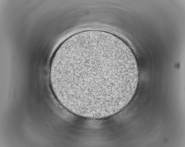 X0000089971514200707271911