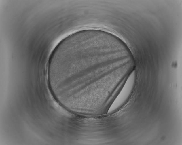 X0000089971515200707271911