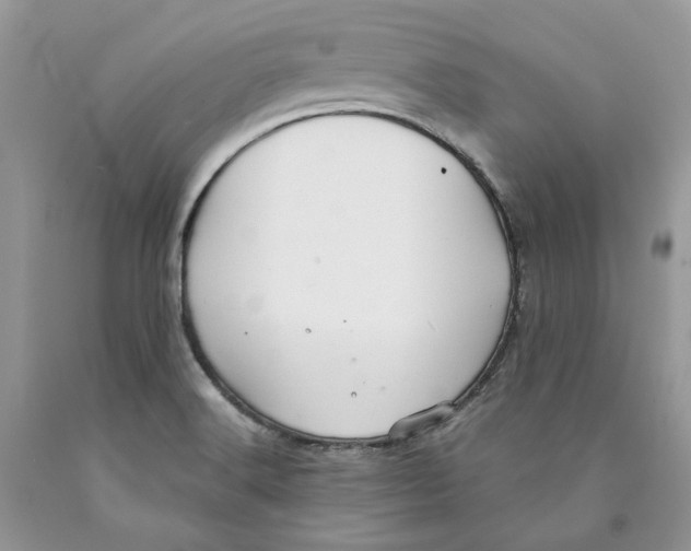 X0000089971516200707271911