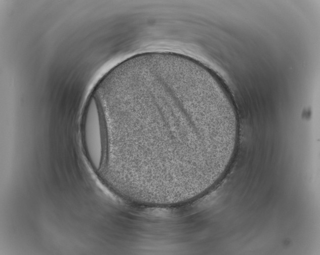 X0000089971517200707271911