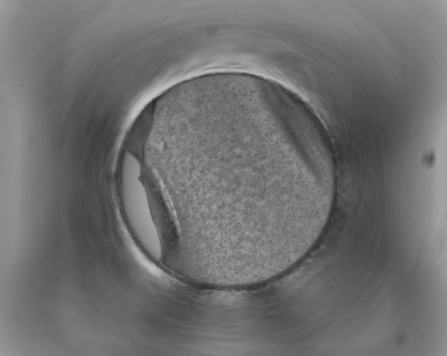 X0000089971519200707271911