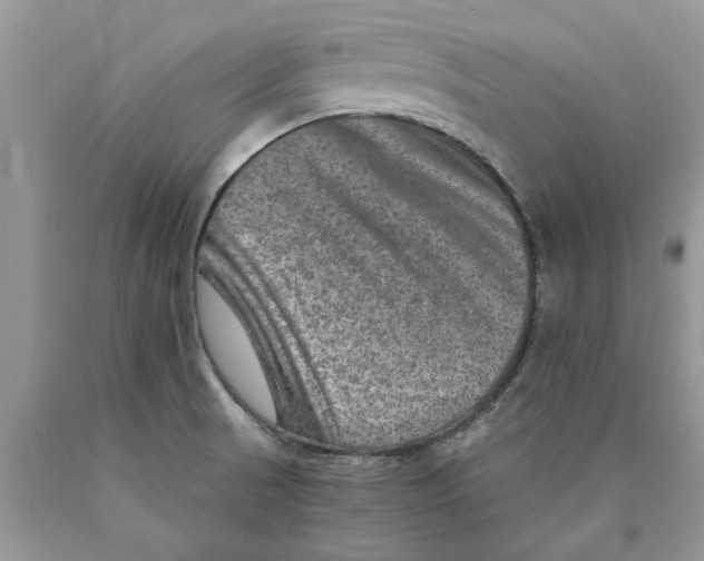 X0000089971521200707271911