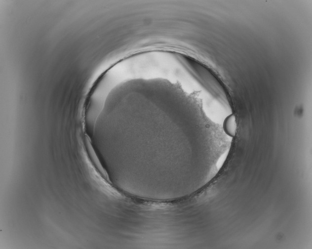 X0000089971522200707271911