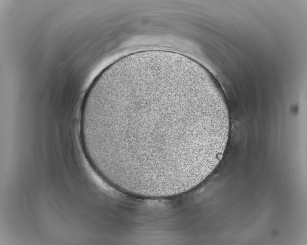 X0000089971523200707271911