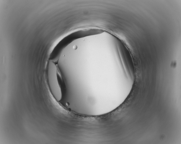 X0000089971524200707271911