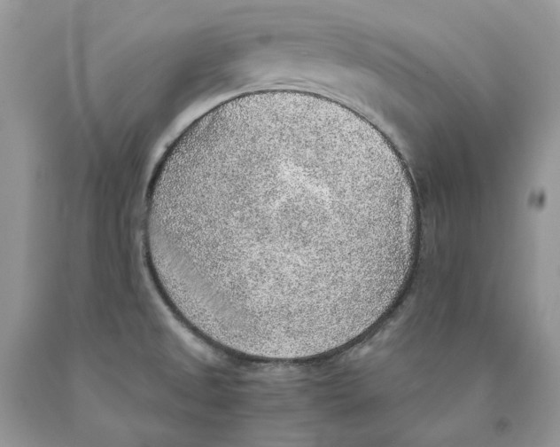 X0000089971525200707271911