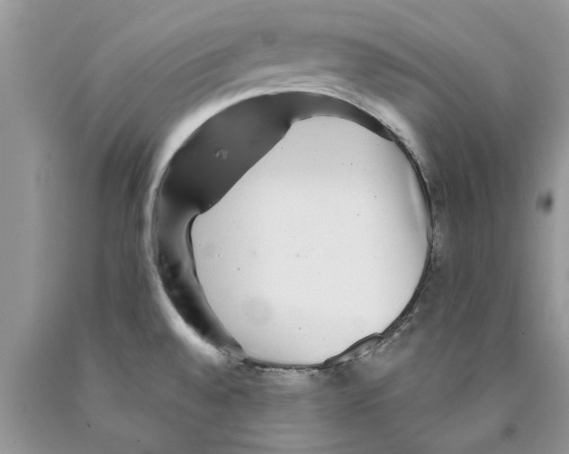 X0000089971528200707271911