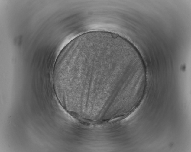 X0000089971529200707271911