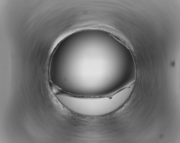 X0000089971530200707271911