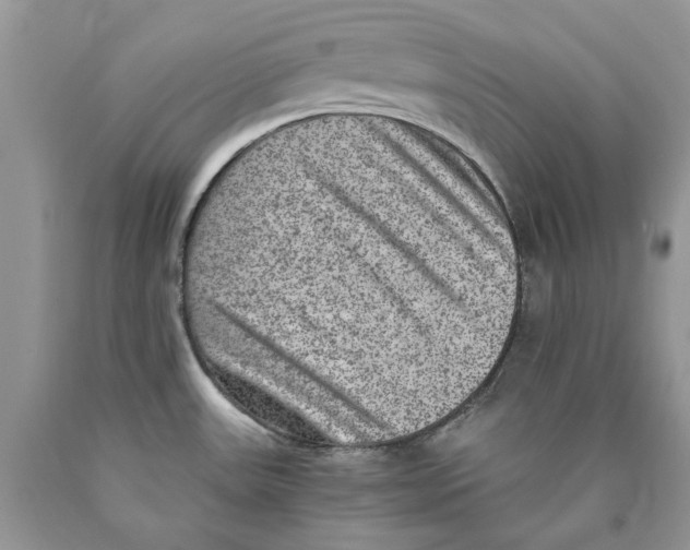 X0000089971531200707271911