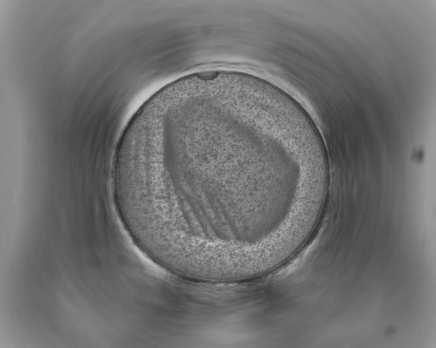 X0000089971533200707271911