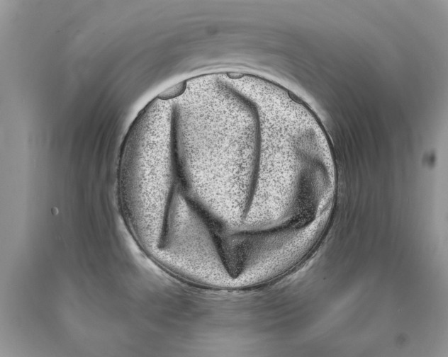 X0000089971534200707271911