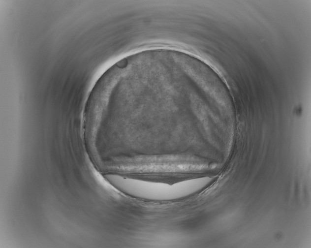 X0000089971535200707271911