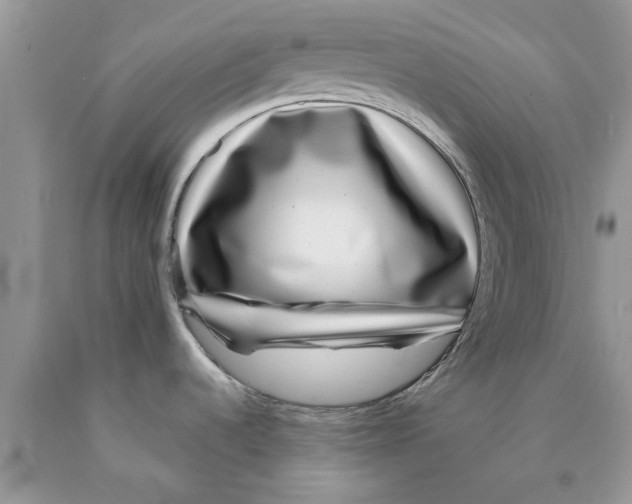 X0000089971536200707271911