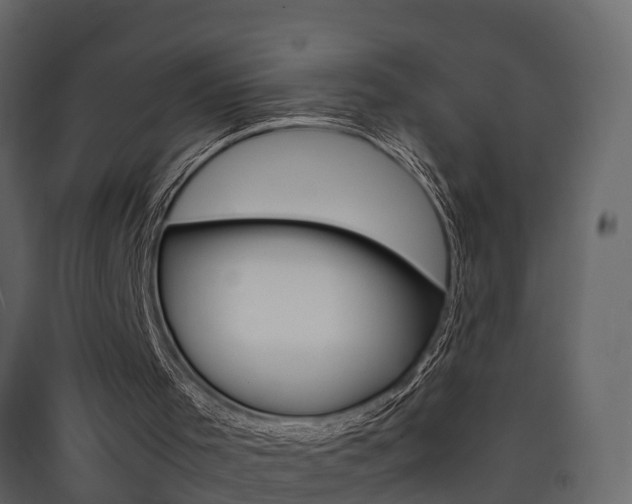 X0000090410001200707130935