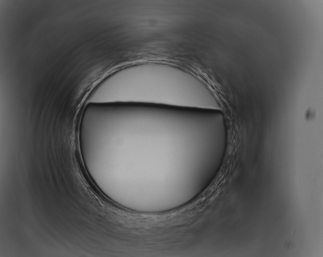 X0000090410002200707130935
