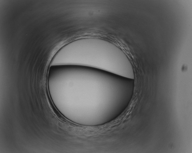X0000090410003200707130935