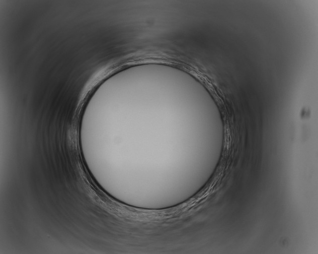 X0000090410004200707130935