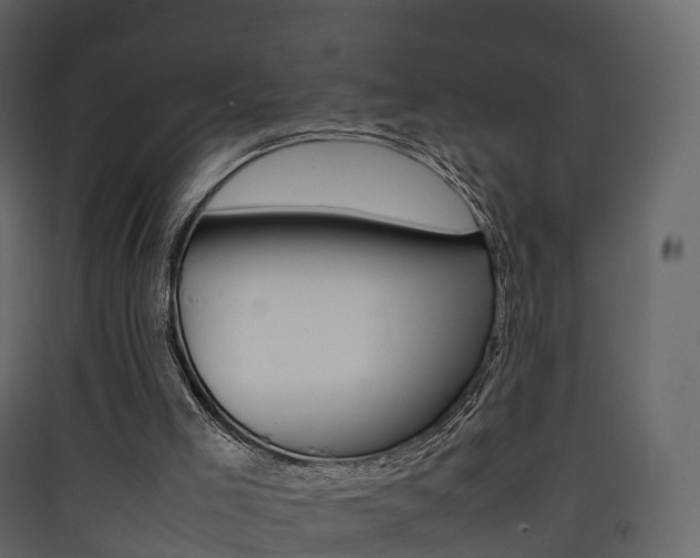 X0000090410005200707130935