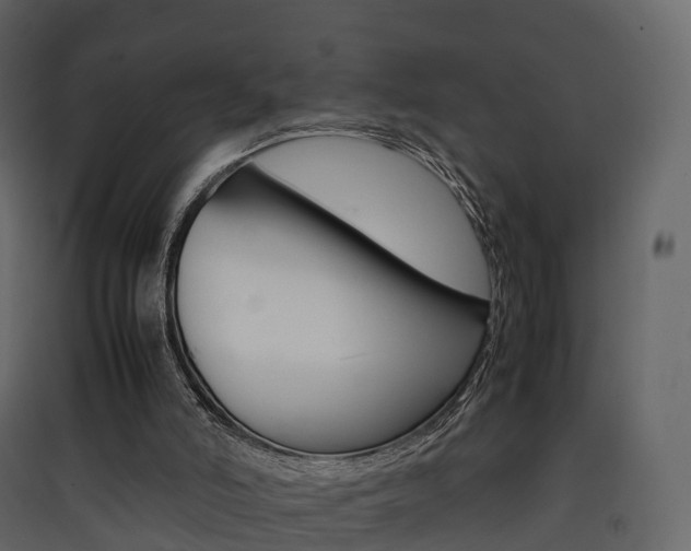 X0000090410006200707130935