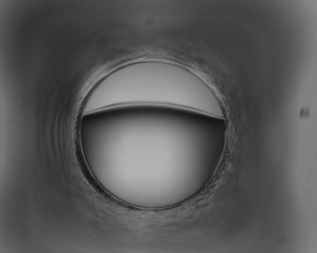 X0000090410007200707130935