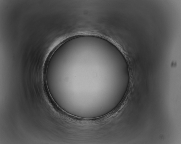 X0000090410008200707130935