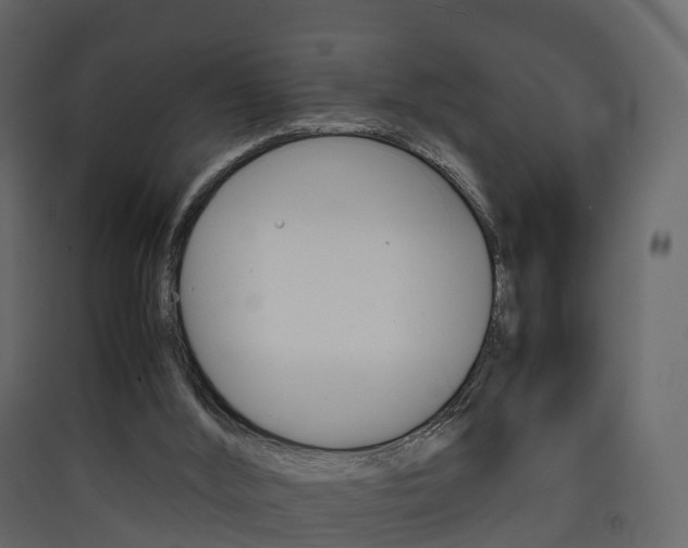 X0000090410012200707130935