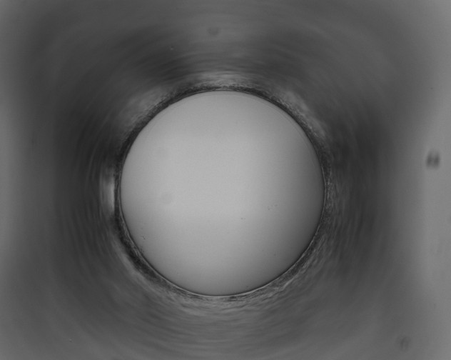 X0000090410014200707130935