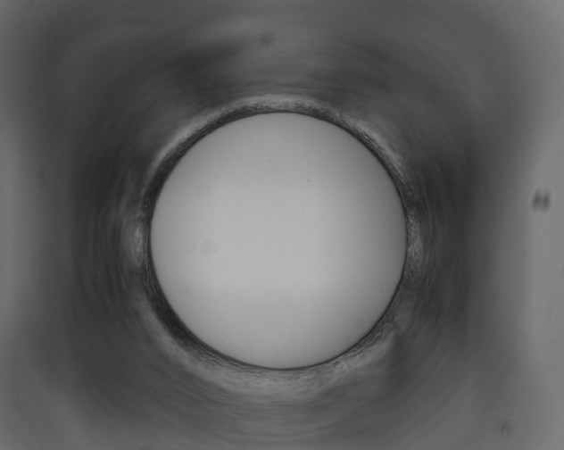 X0000090410016200707130935