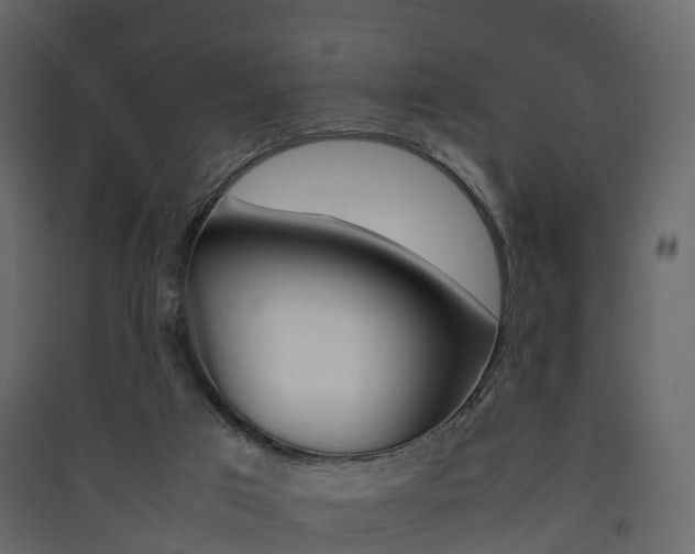 X0000090410017200707130935