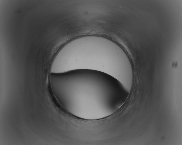 X0000090410019200707130935