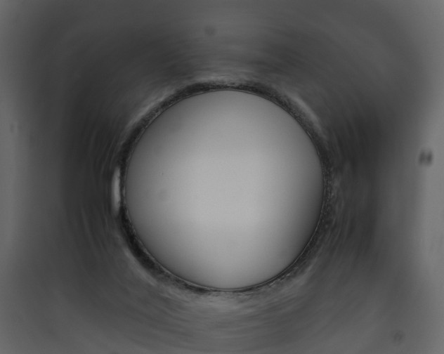 X0000090410020200707130935